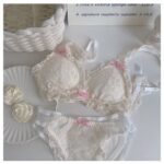 Sweet Lace Wireless Minimizer Bra Set for Fuller Bust - Image 5